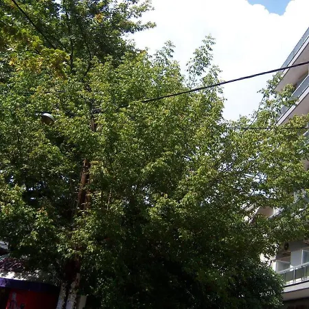 فندق Elena إذيسا