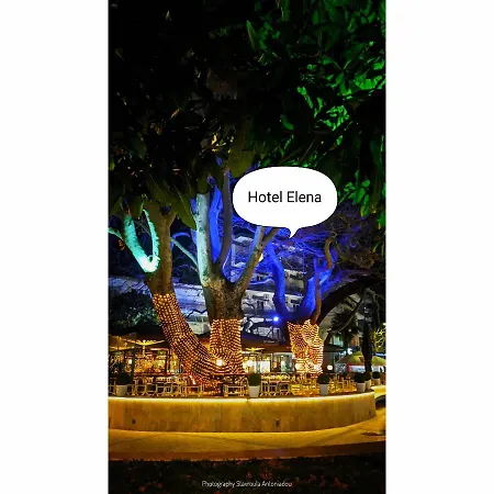 فندق Elena *